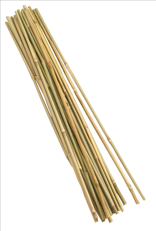 Bamboo Canes - 150 cm