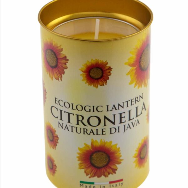 Citronella Fragrant Lantern