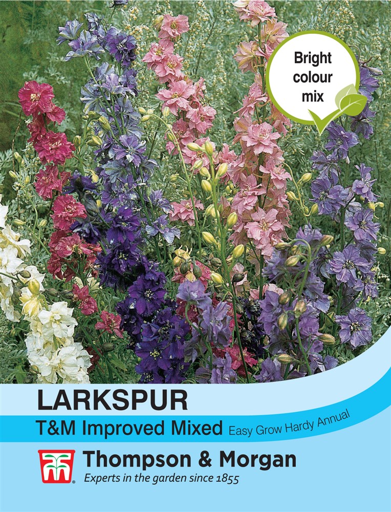 Larkspur T&M Improved Mixed