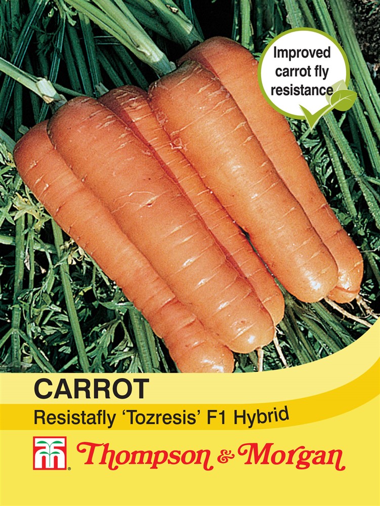 Carrot Resistafly ‘Tozresis