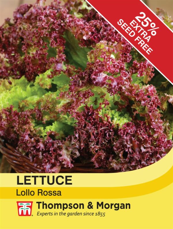Lettuce Lollo Rossa