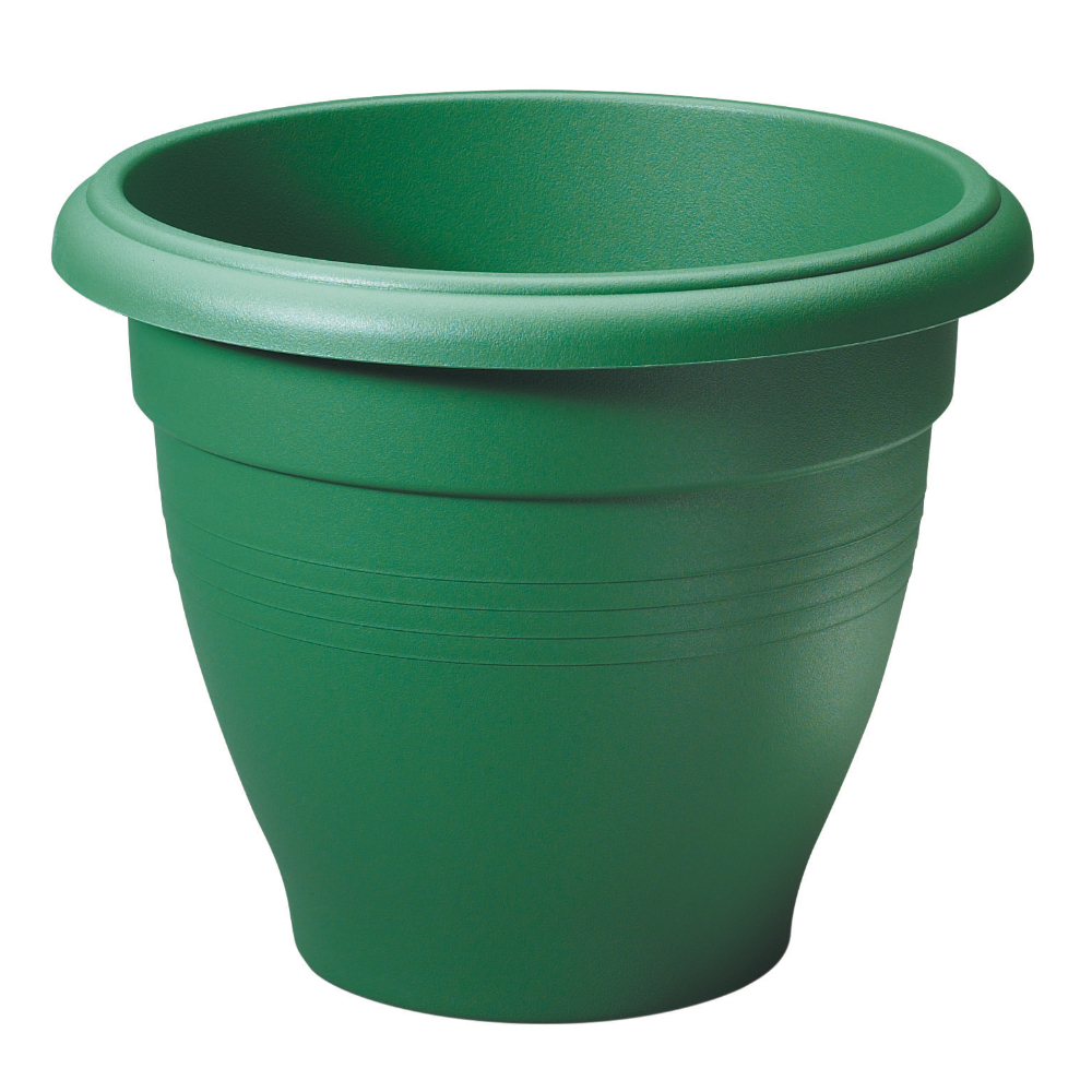 Palladian 50cm Green