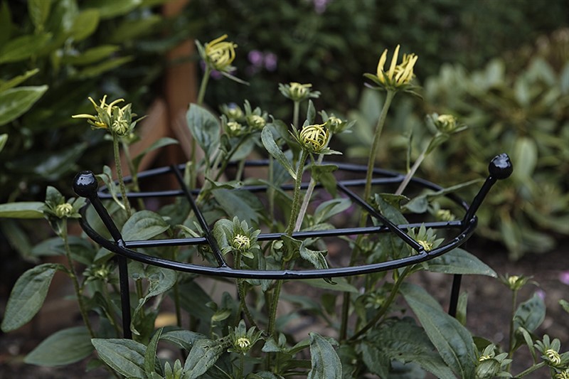 Cottage Garden Grow Thru - 60cm