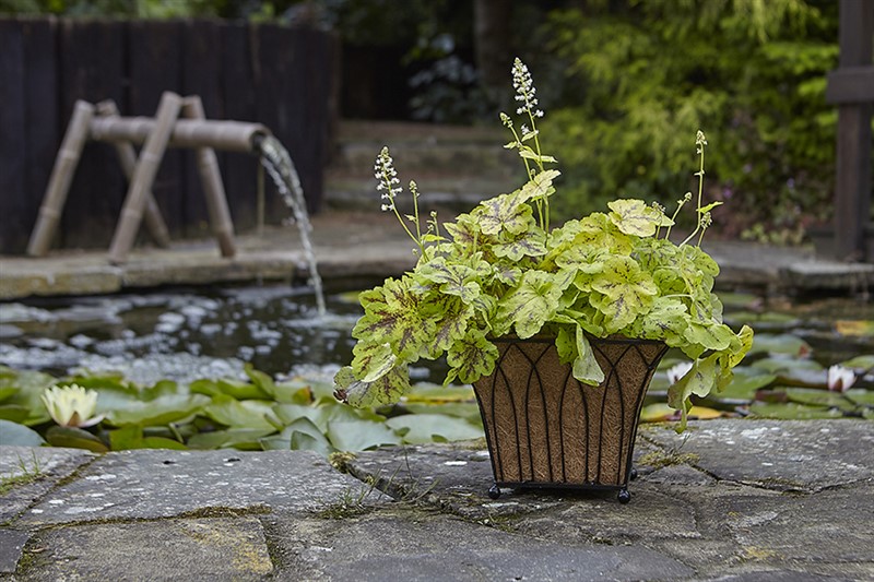 Lattice Planter - Square