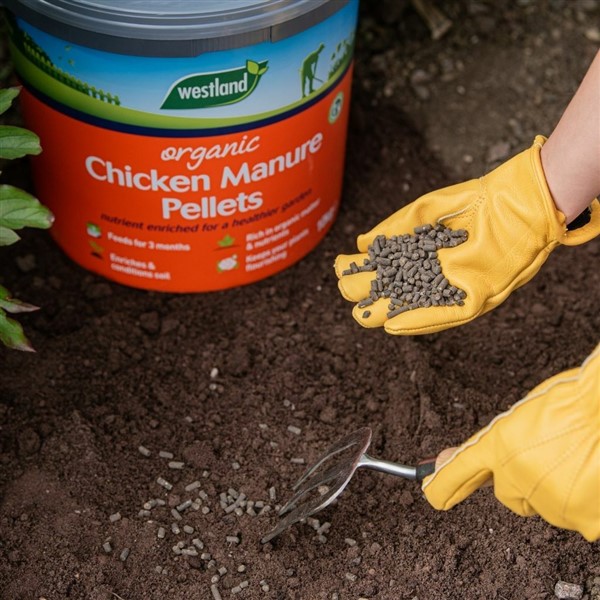 Organic Chicken Manure Pellets Bucket 10kg