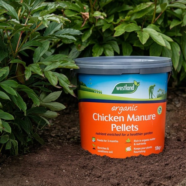 Organic Chicken Manure Pellets Bucket 10kg