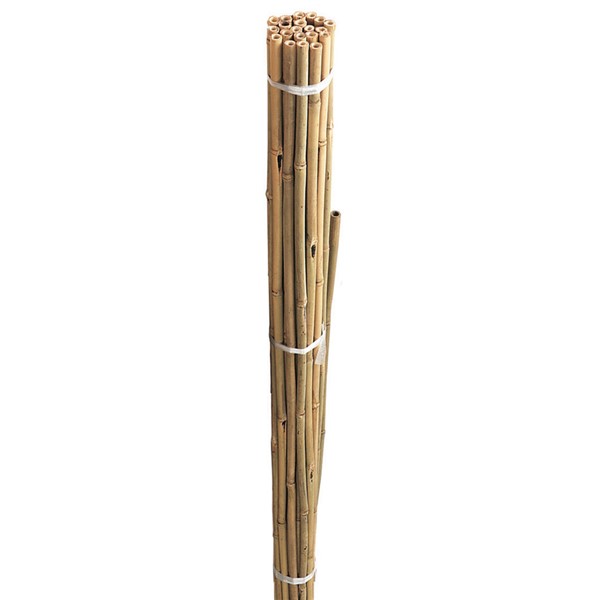 Bamboo Canes150cm 5' 20pk