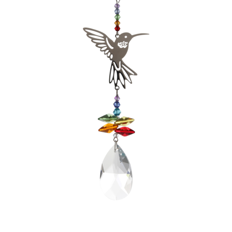 Fantasies Hummingbird Rainbow