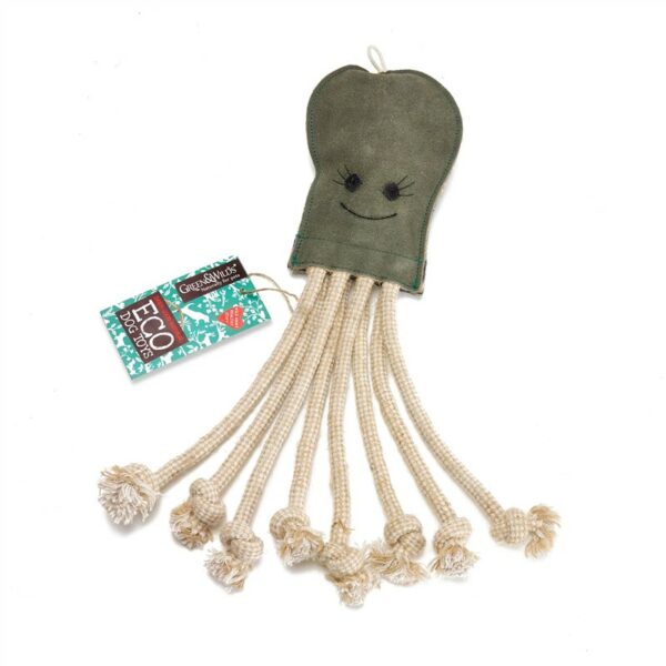 Olive the Octopus