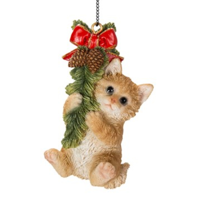 Hanging Ginger Kitten