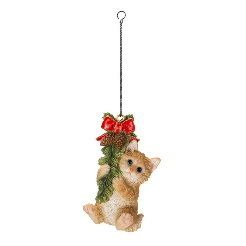 Hanging Ginger Kitten