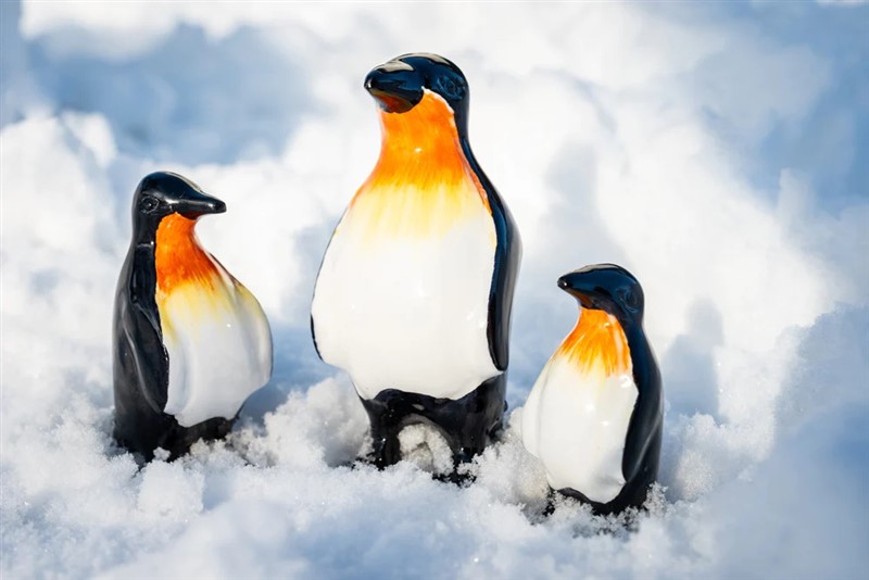 Emperor Penguin Medium