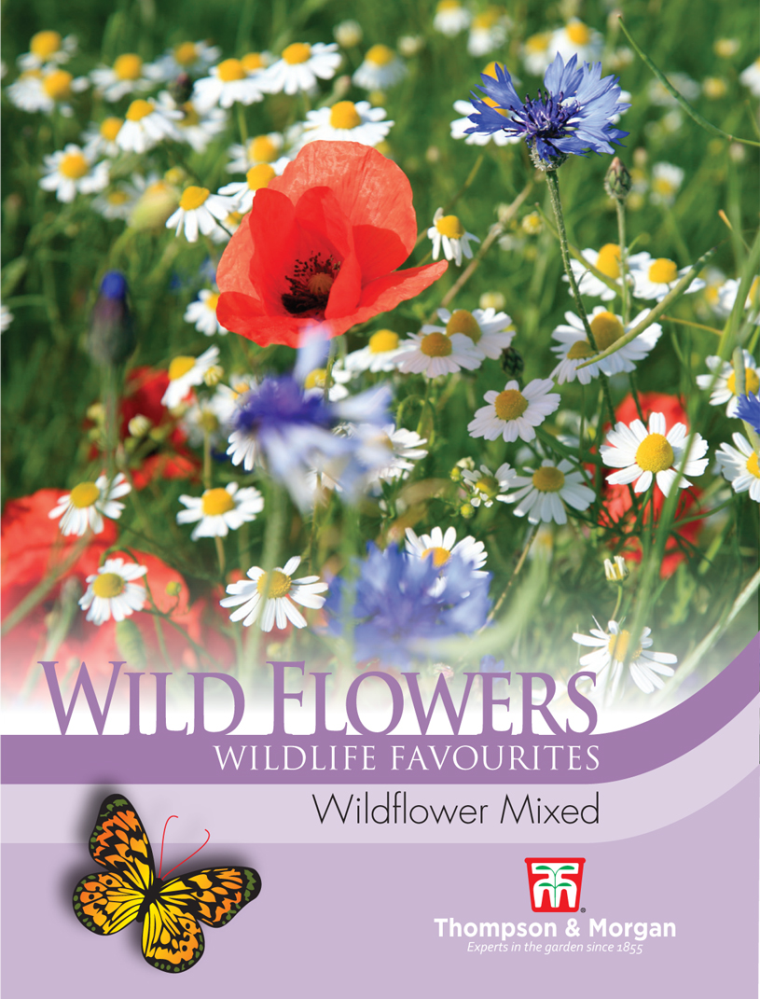 Wild Flower Mixture