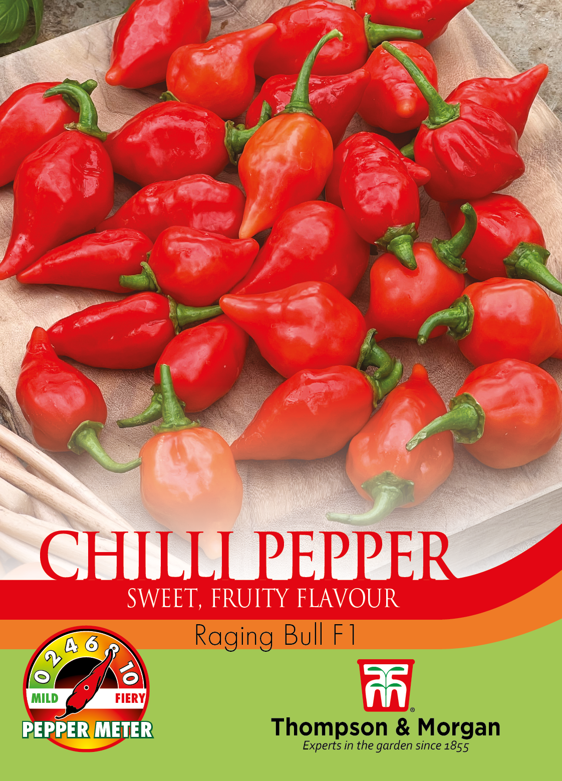Chilli Pepper Raging Bull
