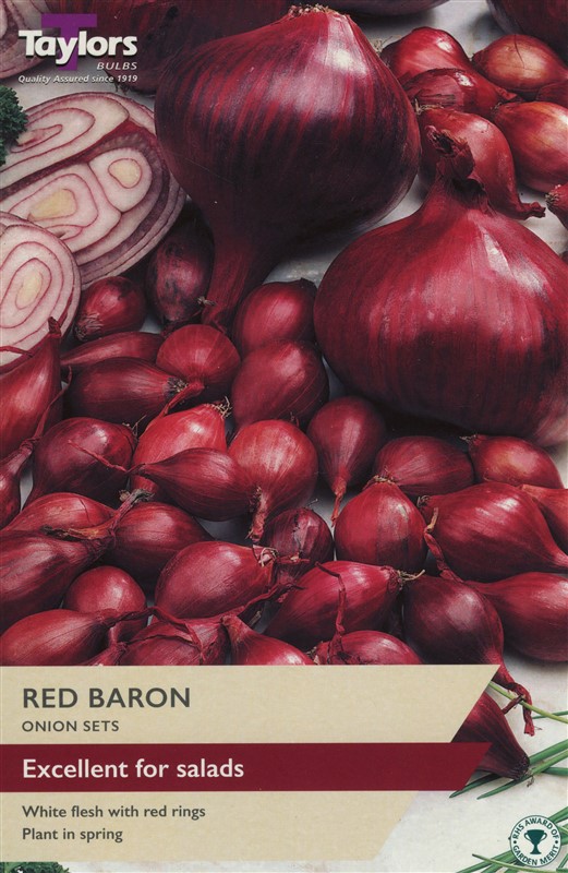 Onion Red Baron  Pre Pack