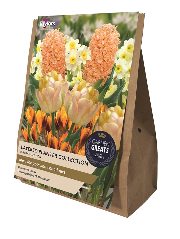 Layered Planter Collection Pre Pack
