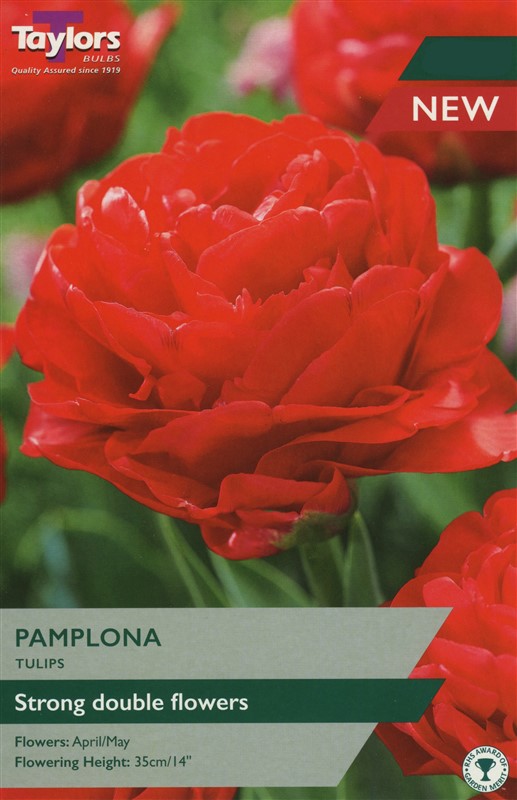 Tulip Pamplona Pre Pack