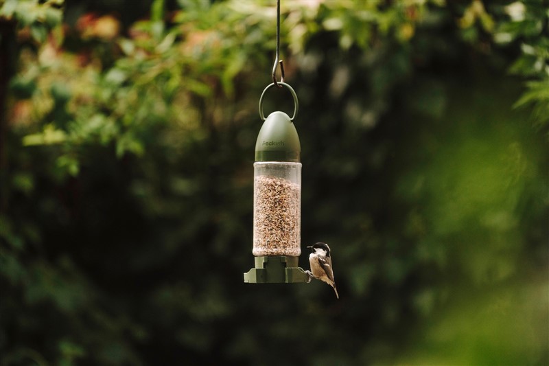 Peckish Extra Goodness Crumble Food Ready To Use Feeder
