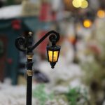 IMG_3204.jpg