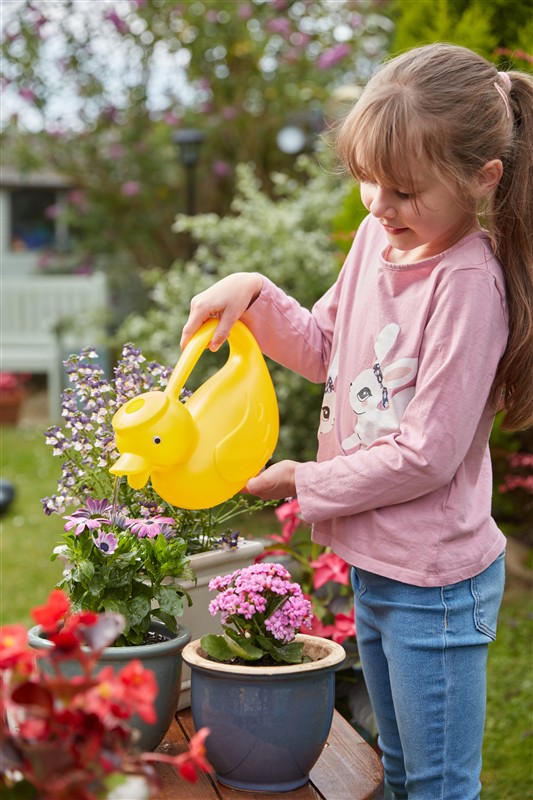 Duck Watering Can - Image 2